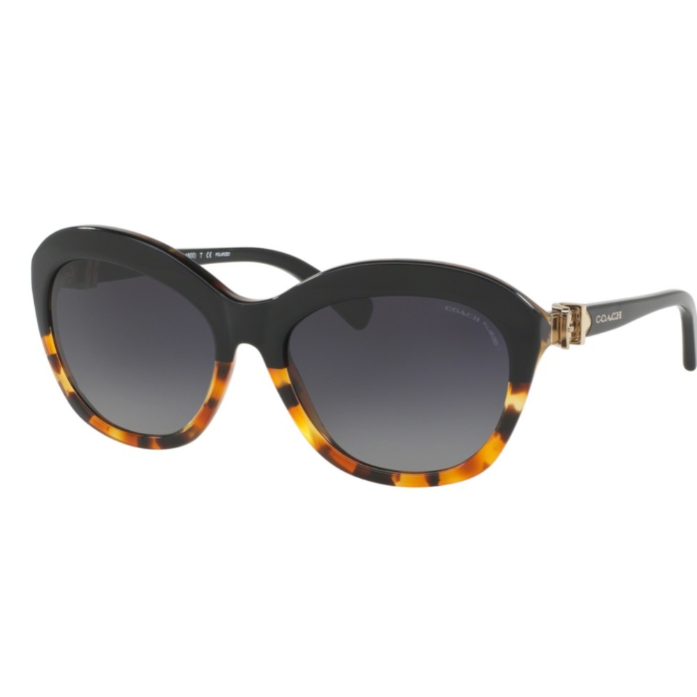 Coach Tortoise Gradient/Black Sunglasses